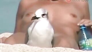 Funny: Fuck you bird #4
