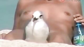 Funny: Fuck you bird #3