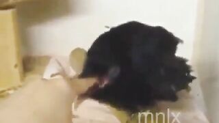 Funny: Just a crow? #4