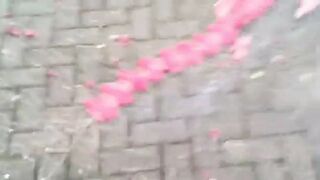 Funny: Ladycracker #2
