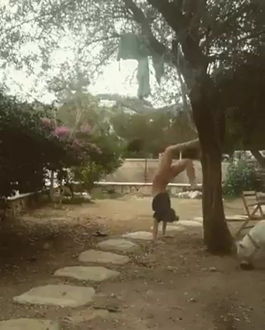 Dog knows a bitch when he sees one