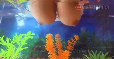 Here fishy fishy