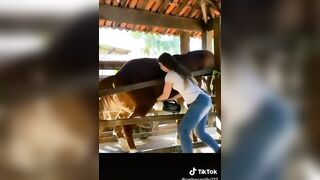 Funny: Horseplay #4
