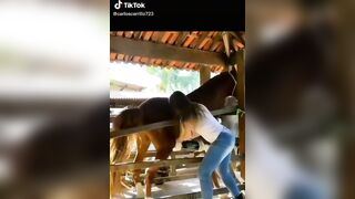 Funny: Horseplay #2