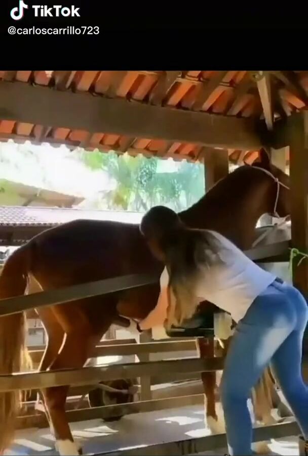 Horseplay