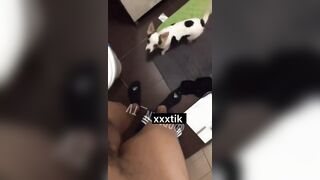 Funny: Bad boy #4