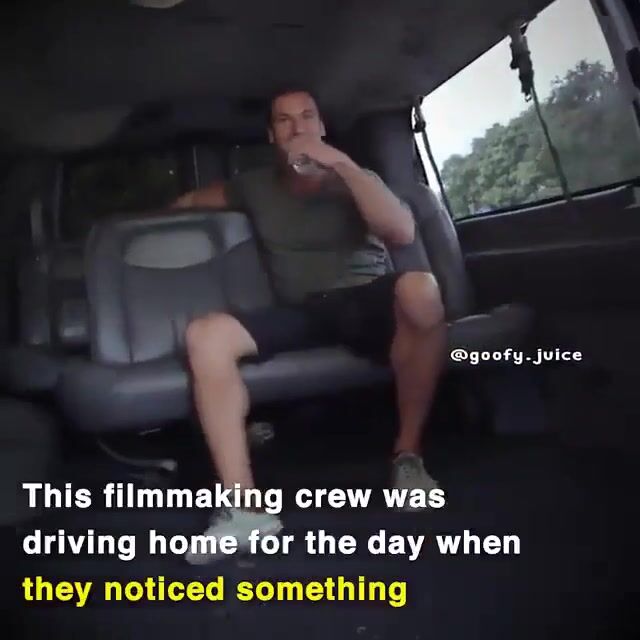 Humans being bros