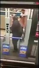 Thicc And Sneaky