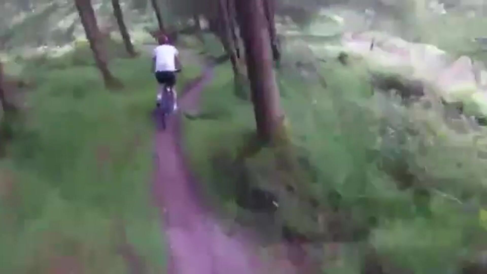 They are not the wild animals I wanted to find in the mountain