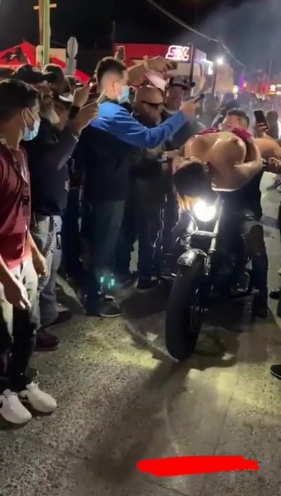 Puss n Bike - Two fav. hobbies