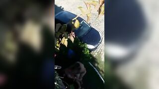 Trashy: Couple Caught Fucking Behind A Bush #2