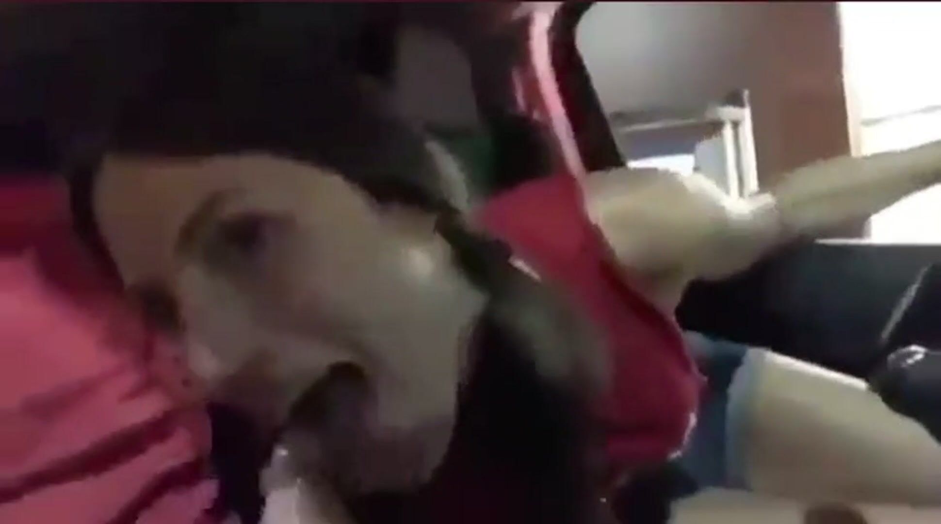 Sucking cock at a drivethru
