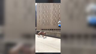 Trashy: Twerkin' in front of a prison. They mad a lot of dudes happy that day... #4