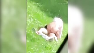 Trashy: Garden sex #3