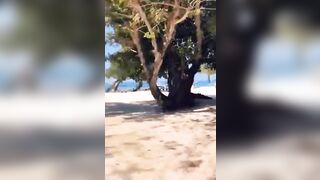 Wearing Plugs on The Beach