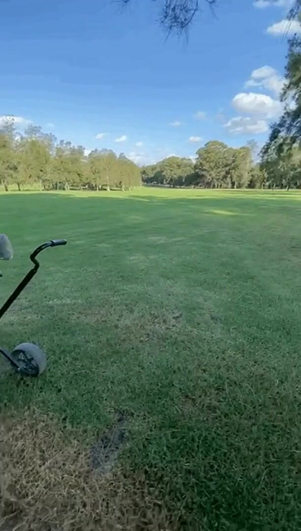 Hit The Best Hole on The Whole Golf Course