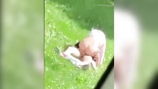 Trashy: Caught fucking in the park of the residence #3