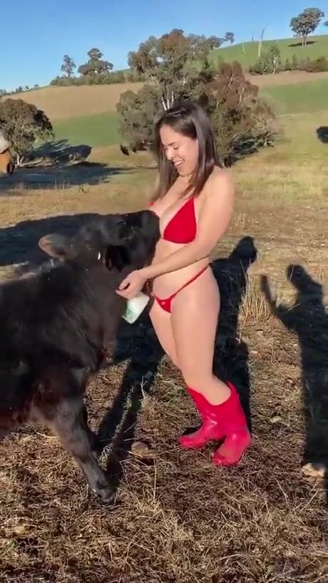 Cows are friends, not food