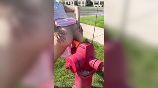 Confused: Fire hydrant fun #3
